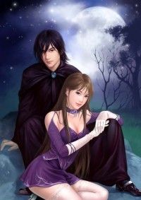 妻主 女尊